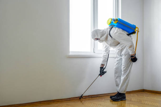Best Affordable Pest Control Services  in Byhalia, MS