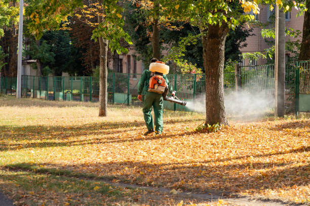 Best Wasp Removal Services  in Byhalia, MS